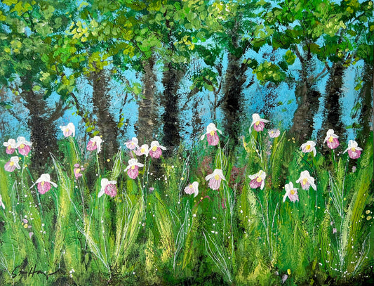 Lady Slipper LSP 002