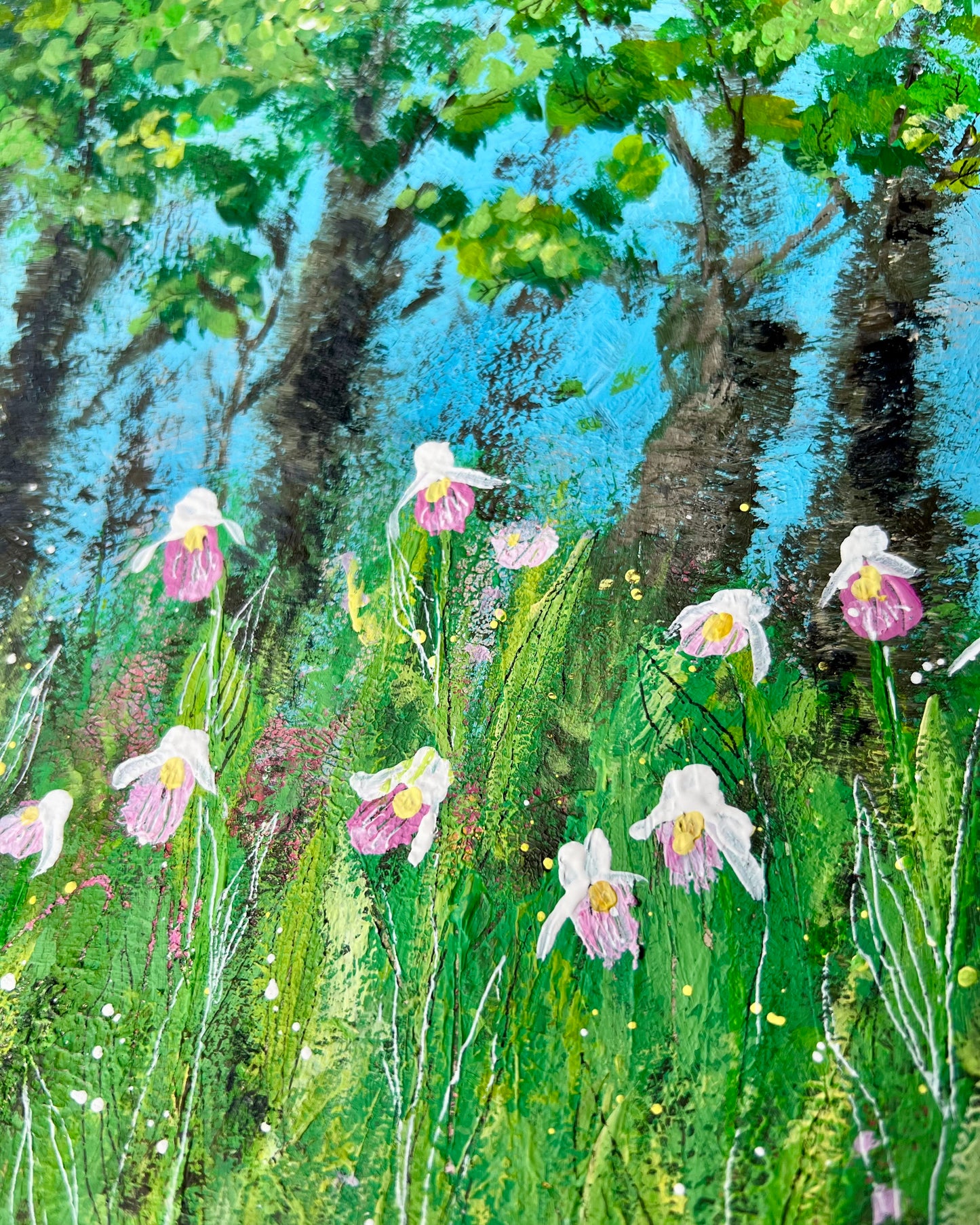 Lady Slipper LSP 002