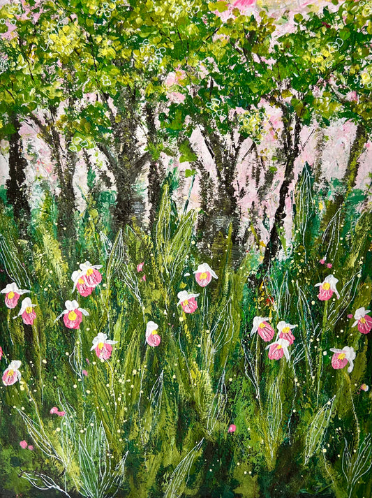 Lady Slipper LSP 003