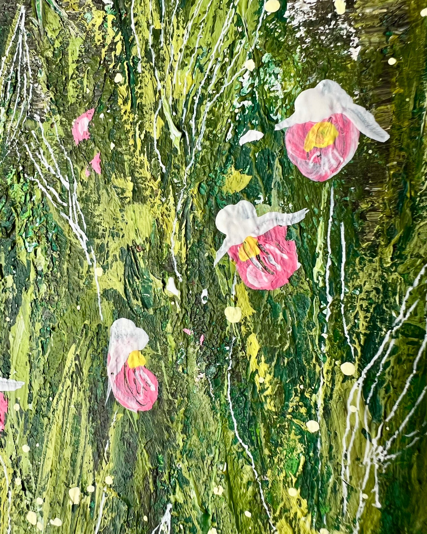 Lady Slipper LSP 003