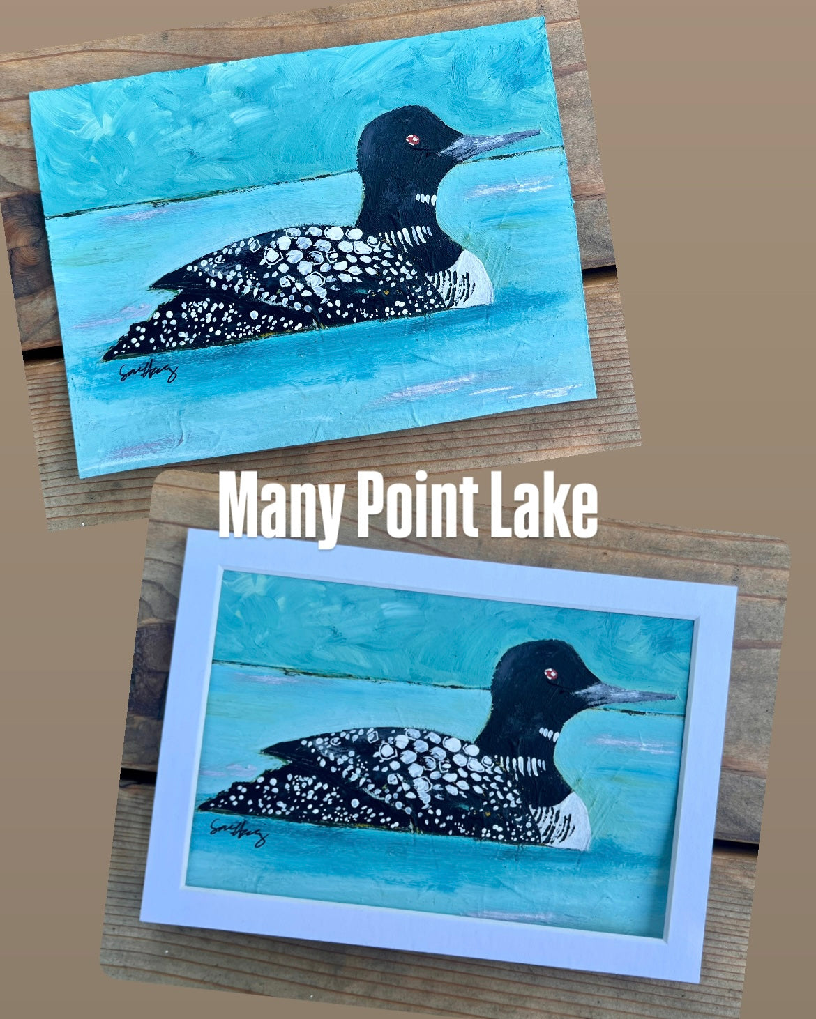 Many Point Lake