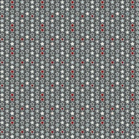 Fabric #6846 11 - Super Star Charcoal